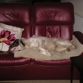 I am also good at relaxing