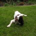 Me on the lawn in Cheshunt