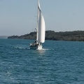 PYC-Cowes 2019 10