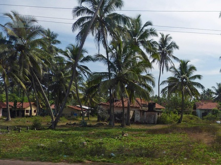 Cluster of Houses